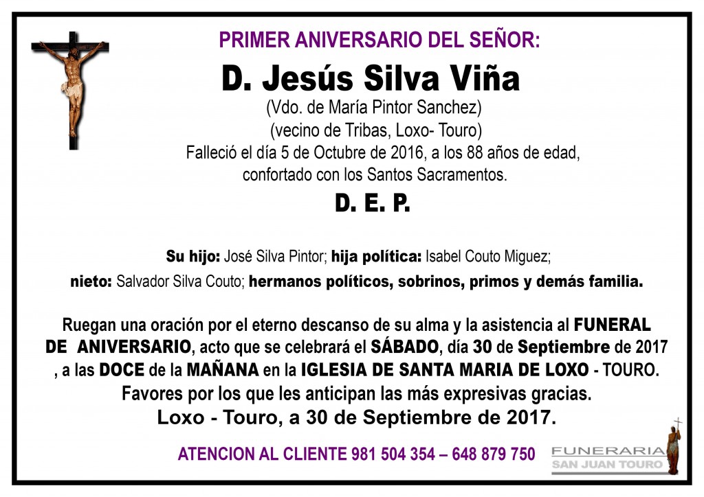 jesus silva viña